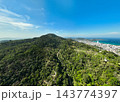 Top view forest green nature background 143774397