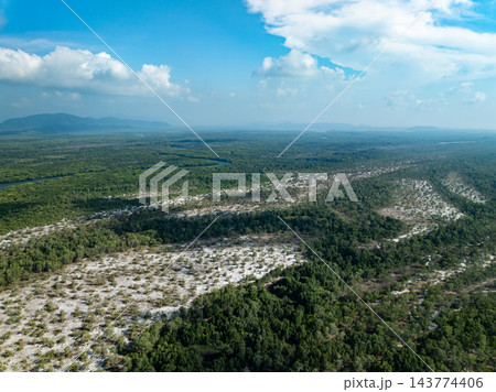 Amazing abundant mangrove forest, Aerial view of forest trees Rainforest ecosystem and healthy environment background, Texture of green trees forest top down, High angle view Amazing abundant mangrove forest, Aerial view of forest trees Rainforest ecosystem and healthy environment background, Texture of green trees forest top down, High angle view 143774406