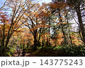 紅葉の並木道 143775243