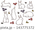 白いうさぎのポーズ違い手書きイラスト素材セット1 143775372