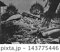 古写真　1923年9月30日　東京　関東大震災直後の甘粕事件で遺体が遺棄された憲兵隊本部の古井戸 143775446