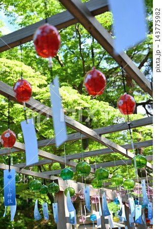 金峯神社の境内に飾られた風鈴（新潟県長岡市） 143775982