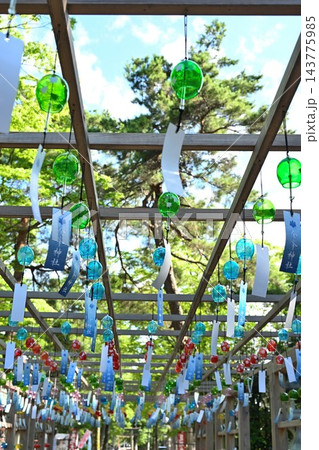 金峯神社の境内に飾られた風鈴（新潟県長岡市） 143775985