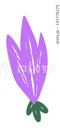 Wildflower Bloom Crayon Style Wildflower Bloom Crayon Style 143776278