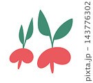 Radish Sprout Pair Minimal Shape 143776302