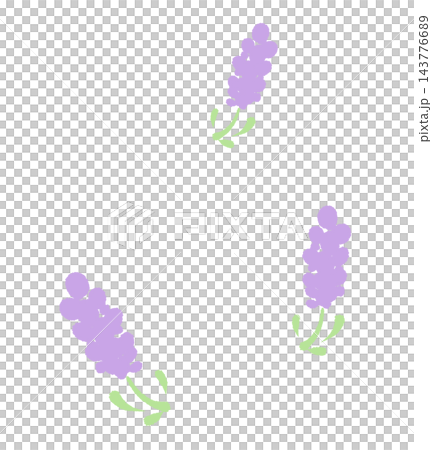 ラベンダーと睡眠効果のあるアロマのイメージイラスト 143776689
