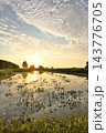 福島潟の夕景と水面に反射する空と雲（新潟県新潟市北区） 143776705