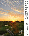 福島潟に沈む夕日と夕焼け空（新潟県新潟市） 143776799