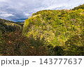 View of the canyon of Khosta river in Khosta Yew-Boxwood Grove. Sochi. Khosta District, Russia Autumn in the mountains 143777637