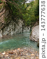 View of the canyon of Khosta river in Khosta Yew-Boxwood Grove. Sochi. Khosta District, Russia Autumn in the mountains 143777638
