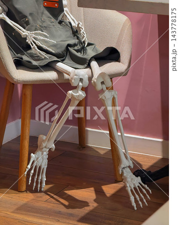 Halloween skeleton decoration seated on upholstered chair features exposed leg bones, dark costume fabric and sunlight. Skeleton display represents seasonal decor, party styling and retail promotion 143778175