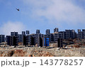 Helicopters flies on construction site of vertically mounted photovoltaic plant, solar panels, future innovation energy concept 143778257