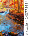 landscape in mountains, forest and a river in front. beautiful view in autumn. fresh water in the beech forest of Carpathian mountains. sunny weather, rocky shore landscape in mountains, forest and a river in front. beautiful view in autumn. fresh water in the beech forest of Carpathian mountains. sunny weather, rocky shore 143778684