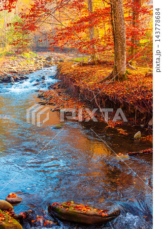 landscape in mountains, forest and a river in front. beautiful view in autumn. fresh water in the beech forest of Carpathian mountains. sunny weather, rocky shore landscape in mountains, forest and a river in front. beautiful view in autumn. fresh water in the beech forest of Carpathian mountains. sunny weather, rocky shore 143778684
