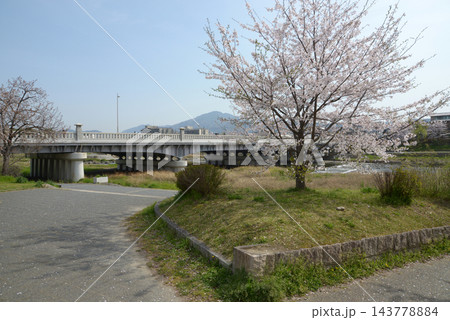 賀茂大橋 京都市上京区今出川 賀茂大橋 京都市上京区今出川 143778884