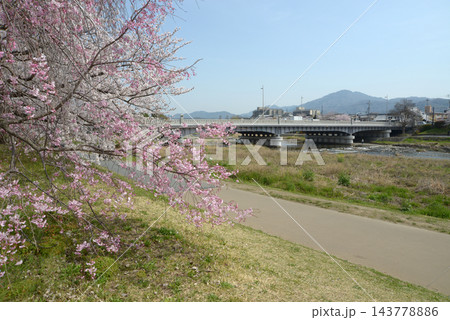 賀茂大橋　京都市上京区今出川 143778886