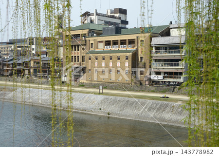 鴨川と先斗町歌舞練場 京都市中京区 鴨川と先斗町歌舞練場 京都市中京区 143778982