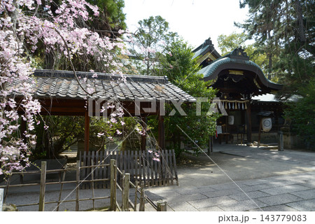 上御霊神社 拝所 京都市上京区上御霊竪町 上御霊神社 拝所 京都市上京区上御霊竪町 143779083