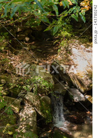 苔むした岩を落ちる沢の小さな滝 苔むした岩を落ちる沢の小さな滝 143780242