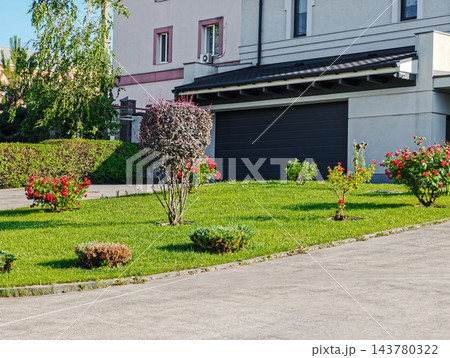 Green lawn around house is decorated with thuja and rose bushes Green lawn around house is decorated with thuja and rose bushes 143780322