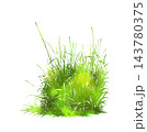 Grass green silhouette vector isolated on white background nature design illustration of grass plant pattern greenery artwork Hand drawn. Not AI, vector illustration. 143780375