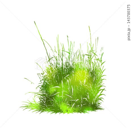 Grass green silhouette vector isolated on white background nature design illustration of grass plant pattern greenery artwork Hand drawn. Not AI, vector illustration. Grass green silhouette vector isolated on white background nature design illustration of grass plant pattern greenery artwork Hand drawn. Not AI, vector illustration. 143780375