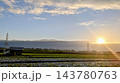 農家の朝 143780763