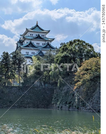 外堀と木々に囲まれた名古屋城 外堀と木々に囲まれた名古屋城 143780968
