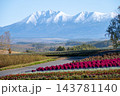 雪山を背景に撮影した秋の四季彩の丘 143781140