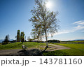 秋の新栄の丘 143781160