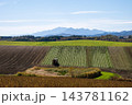 秋の新栄の丘 143781162