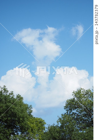 秋の空と雲 143782379