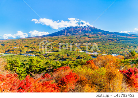 山梨 紅葉に染まる青木ヶ原樹海と富士山 ~紅葉台から~ 山梨 紅葉に染まる青木ヶ原樹海と富士山 ~紅葉台から~ 143782452