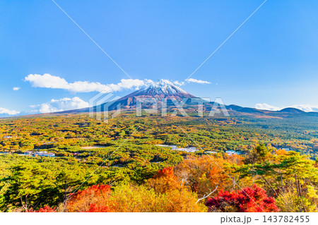 山梨 紅葉に染まる青木ヶ原樹海と富士山 ～紅葉台から～ 143782455