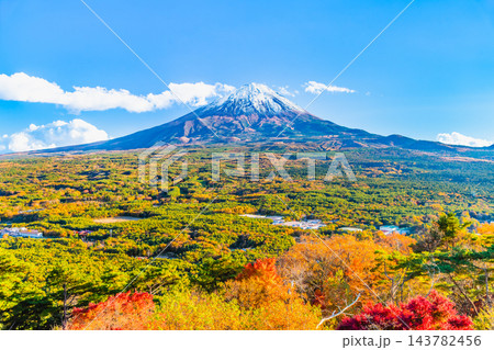 山梨 紅葉に染まる青木ヶ原樹海と富士山 ～紅葉台から～ 143782456
