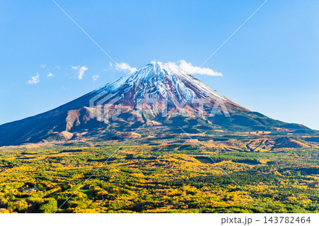 山梨 紅葉に染まる青木ヶ原樹海と富士山 ~紅葉台から~ 山梨 紅葉に染まる青木ヶ原樹海と富士山 ~紅葉台から~ 143782464