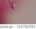 ピンクの花と水滴 143782993
