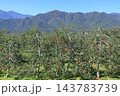 秋の安曇野　北アルプス山麓のリンゴ園 143783739