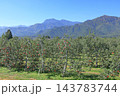秋の安曇野　北アルプス山麓のリンゴ園 143783744