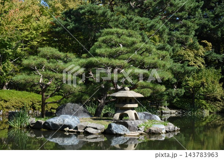 緑豊かな庭園 緑豊かな庭園 143783963