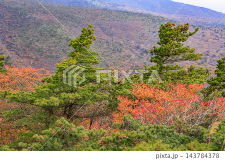 紅葉見頃な安達太良山 143784378