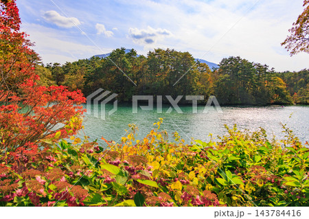 紅葉見頃な五色沼湖沼群 143784416