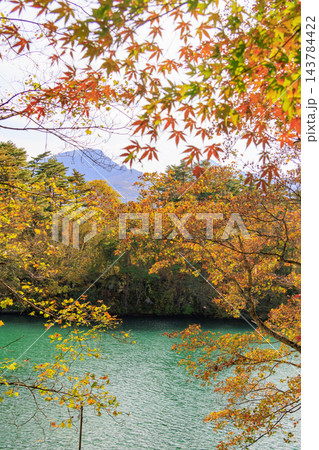 紅葉見頃な五色沼湖沼群 紅葉見頃な五色沼湖沼群 143784422