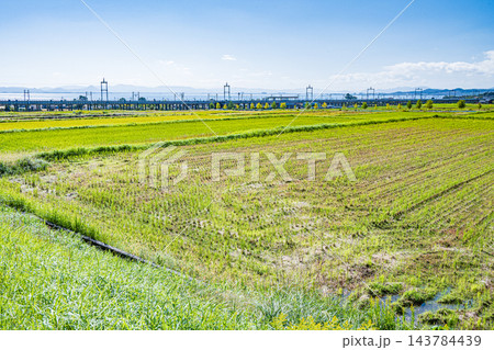湖西地方比良の田園風景　滋賀県大津市 143784439