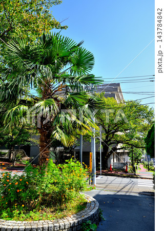 東京都渋谷区西原 東京消防庁消防学校 東京都渋谷区西原 東京消防庁消防学校 143784842