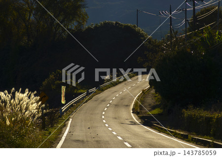 逆光に冴える晩秋の道路 逆光に冴える晩秋の道路 143785059