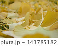 イチョウ葉 イチョウ葉 143785182