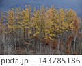 倶知安町 紅葉 倶知安町 紅葉 143785186
