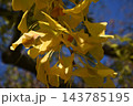 アップ アップ 143785195