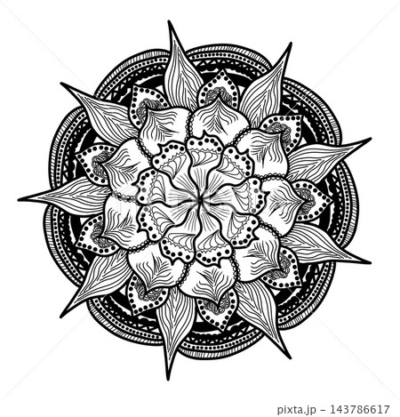 Hand-drawn black and white floral mandala ornament illustration isolated on white background 143786617